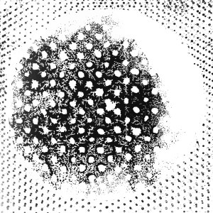 Biosphere – Patashnik 2 (SENJA 001 LP)